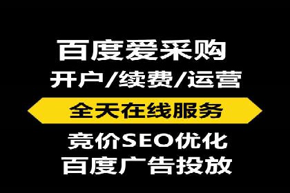成功sem公司的策略与执行